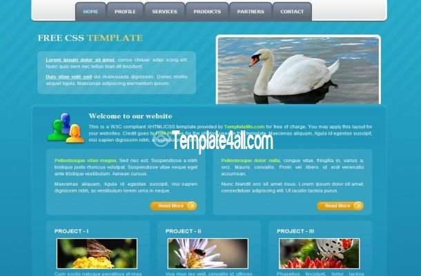 Blue Nature CSS Website Template
