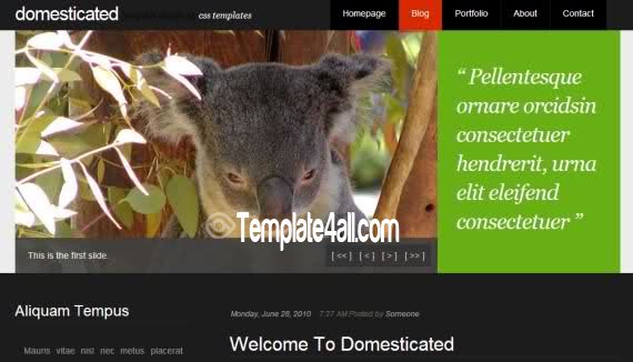 Pets Animals JQuery CSS Template