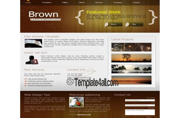 Portfolio Brown Business CSS Template