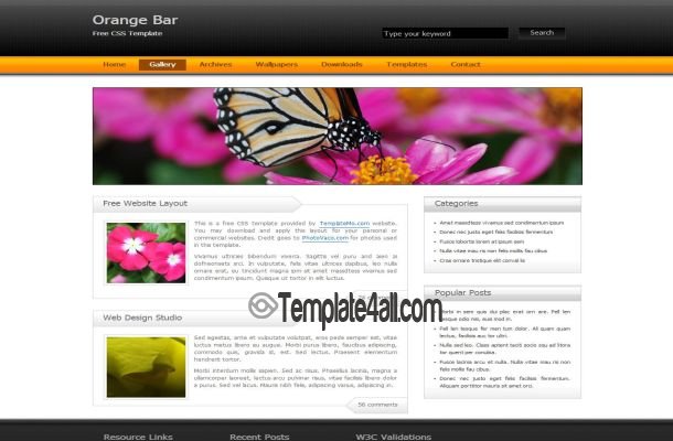Black Orange Business CSS Template