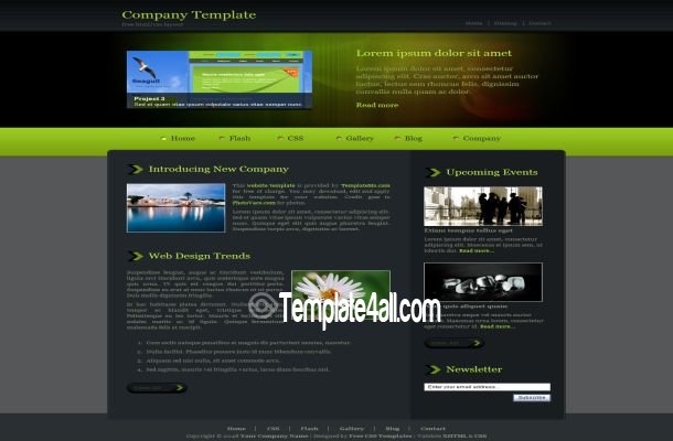 Green Black Business CSS Template