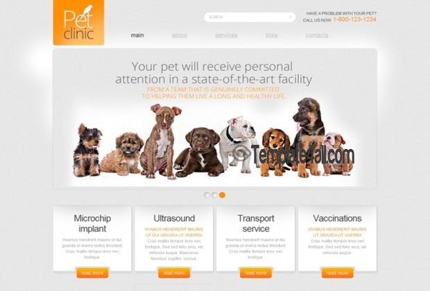 Responsive Pets CSS 3 Template