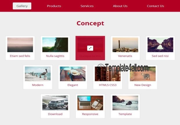 Responsive Red Gallery CSS3 Template