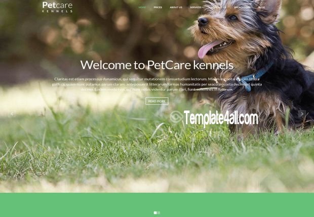 Premium Pets Dogs Care Wordpress Theme