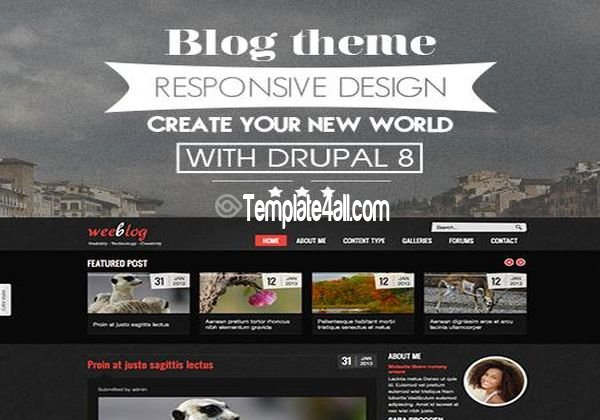 Personal Magazine Blog Drupal 8 Theme