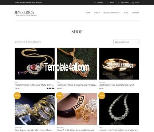 Responsive Jewelry Shop Wordpress Theme