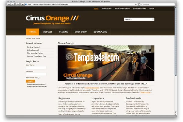 Business Free Joomla Orange Template