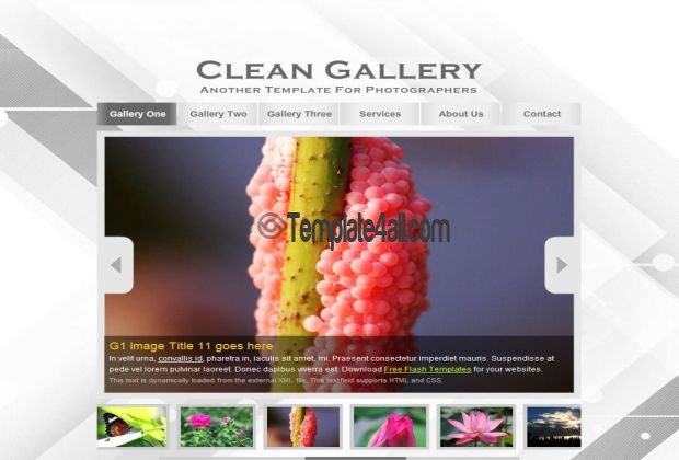 Free Modern Animated Clean Flash Gallery Template